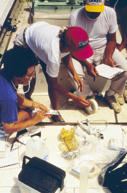 Citizens monitor and process water samples to determine appropriate locations for SAV transplants. Picture
