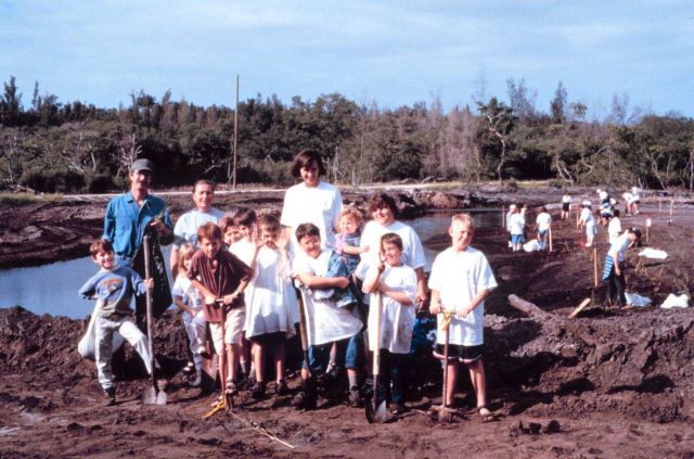 A group of boy scouts and their leaders plant native wetland plants in Palmetto, Manatee County, Florida. Picture