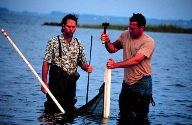 Dave Meyer sets fyke nets to do a before and after comparison of the site Picture