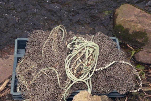 A picture of the nets used to capture fish before transporting them to their spawning areas. Picture