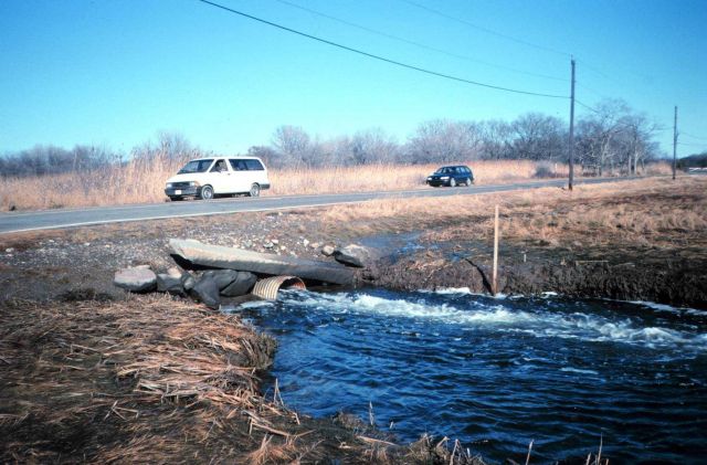 Looking upstream at the original culvert Picture