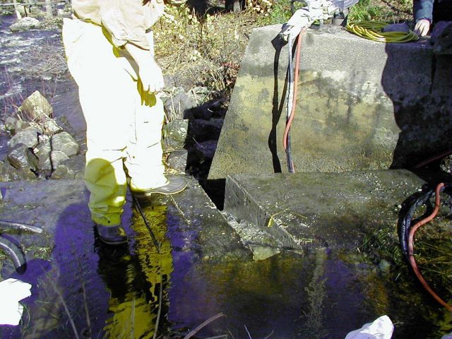 The completed notch in the dam just before placement of the ladder. Picture