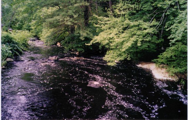 A view of Parker River looking downstream of the restoration site before restoration. Picture