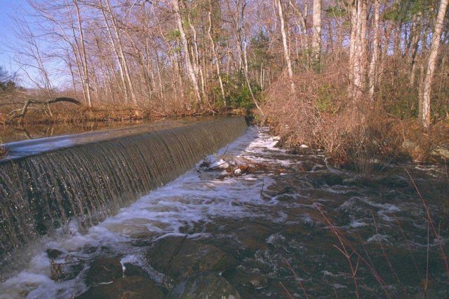 This image shows the height of the dam at Parker River before restoration Picture