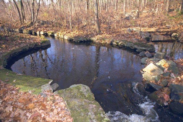 An old fish ladder and pond are aesthetically beautiful but were not reliable or durable enough to help anadromous fish navigate past the dam at Parke Picture