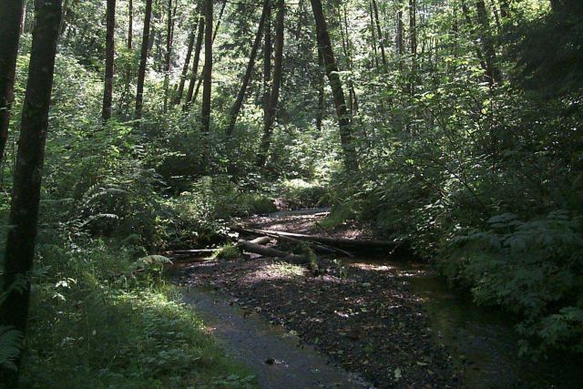 Another view of the stream channel at the Glade Bekken restoration site. Picture