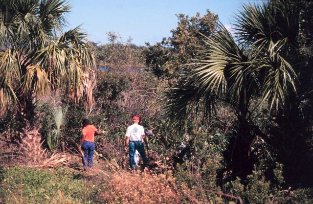 Volunteers at Indian River Lagoon Picture