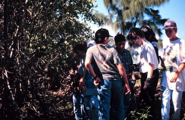 Student volunteers cut Brazilian Pepper growth from native mangrove habitat along Indian River Lagoon. Picture