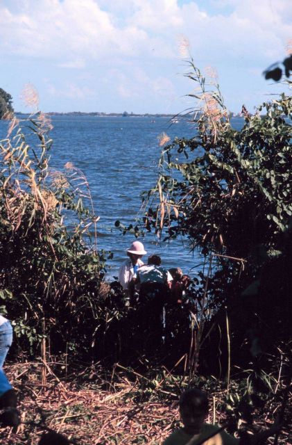 A school teacher shows her students mangrove propagules Picture
