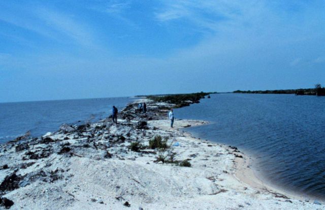 Area 1; a southeast view of the narrowest section of beach showing evidence of overwashing. Picture