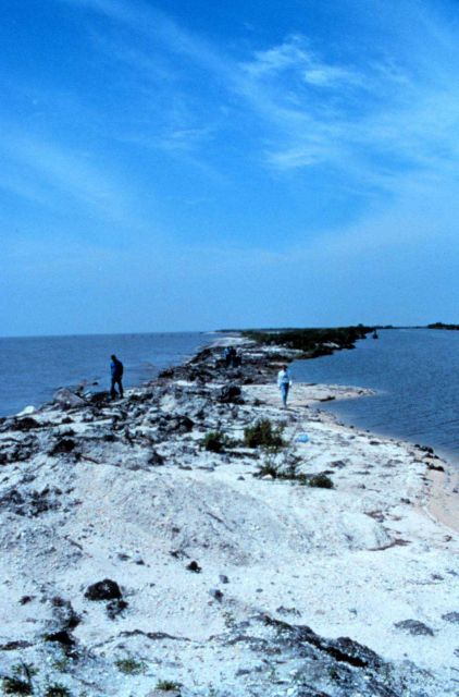 Area 1; a southeast view of the narrowest section of beach showing evidence of overwashing. Picture
