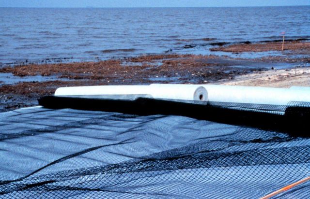 Roles of geofabric cloth (white) and geogrid (black) on the beach Picture
