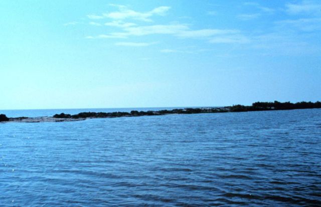 A close up of the breach at ground view. Picture