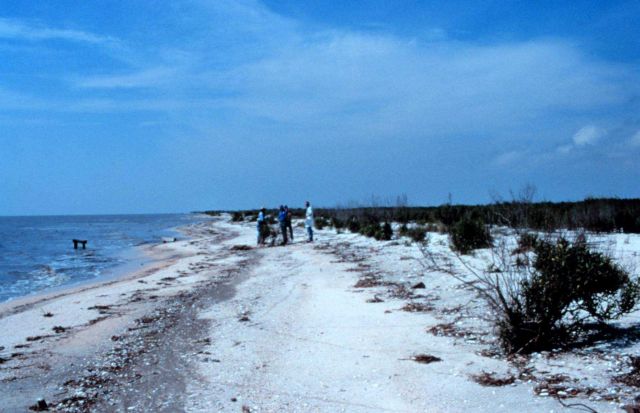 A view of the beach. Picture
