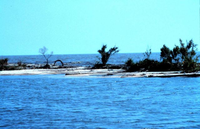 Area 1, a south southwest view from Mobile Canal looking across the narrowest beach section with the Gulf of Mexico in the background. Picture
