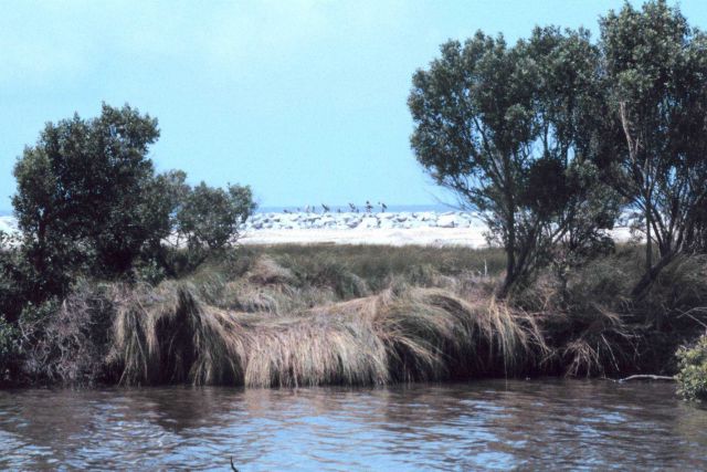 A view from Mobile Canal toward the Gulf of Mexico. Picture