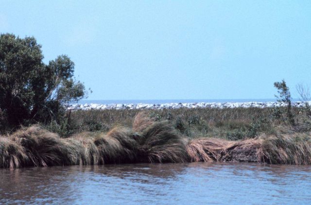 A view from Mobile Canal towards the Gulf of Mexico, rock on the beach. Picture