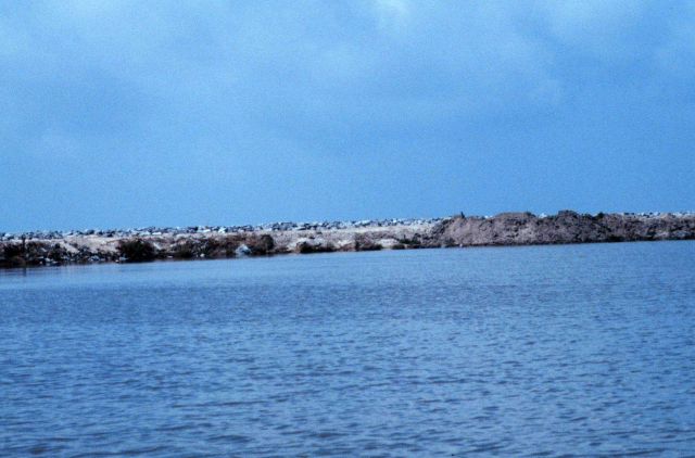 A view from Locust Bayou stub canal toward the Gulf of Mexico, rock is on the beach in the background. Picture