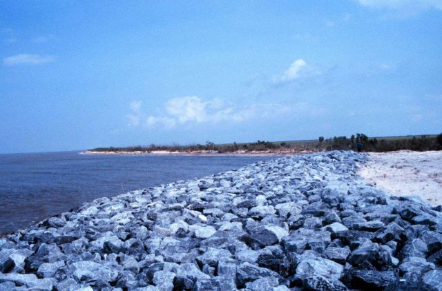 A northwest view from the stub canal toward the end of the project area. Picture