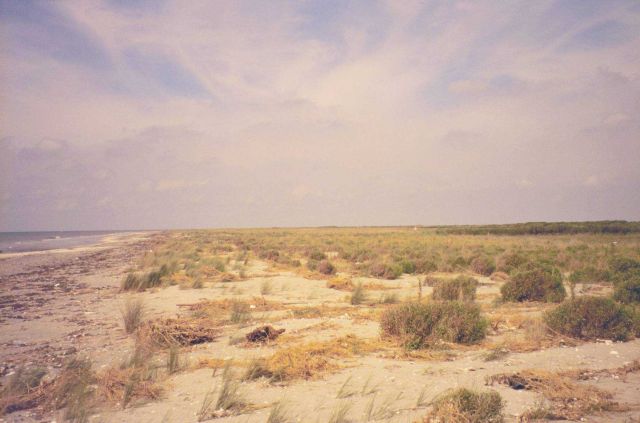 The old beach at Point Au Fer. Picture