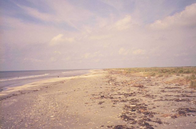 The old beach at Point Au Fer. Picture