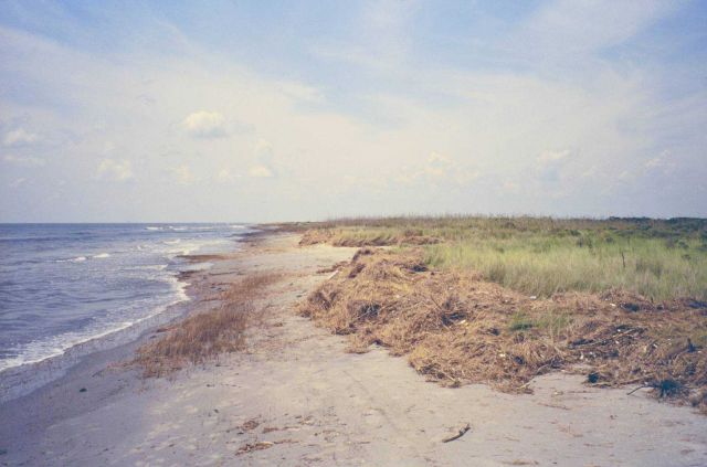 The old beach at Point Au Fer. Picture