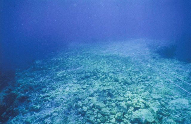 The MV Columbus Iselin grounded on Looe Key in the Florida Keys National Marine Sanctuary in August 1994 Picture