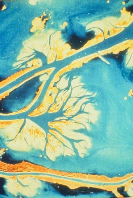 An aerial of Dixon Bay Picture