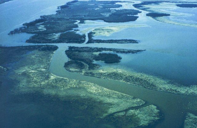 The second in a series of aerial images of Dixon Bay. Picture