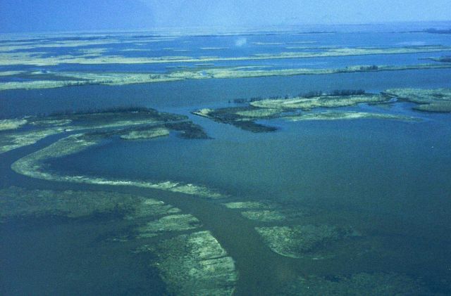The third in a series of aerial images of Dixon Bay. Picture