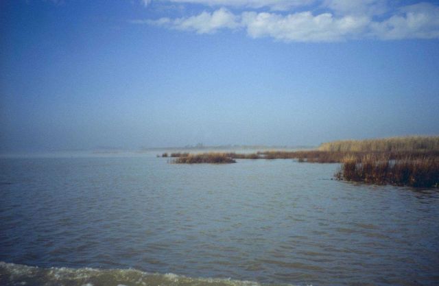 Dixon Bay; the open bay Picture