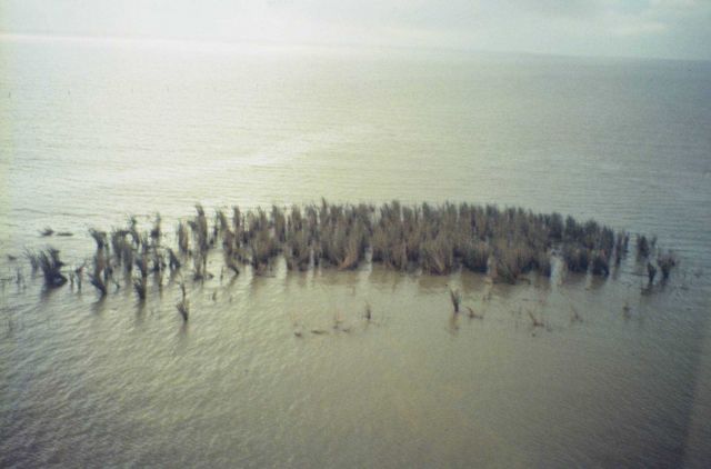 Dixon Bay, an aerial image of degrading marsh in oil. Picture