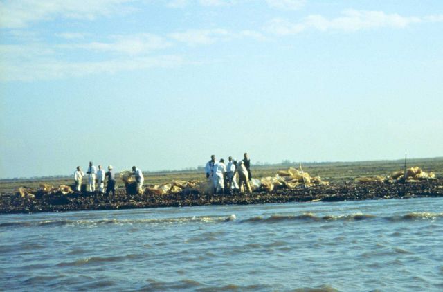 Dixon Bay, clean-up activities at Sandy Spit. Picture