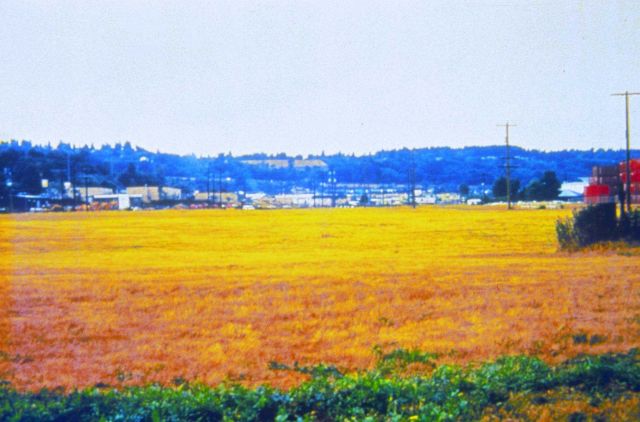 The Seattle City Light property Picture