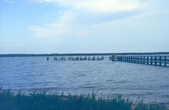 This project was conducted to determine if geotube material could be used to as suitable substrate for oyster spat. Picture