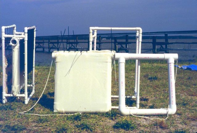 This project was conducted to determine if geotube material could be used to as suitable substrate for oyster spat. Picture