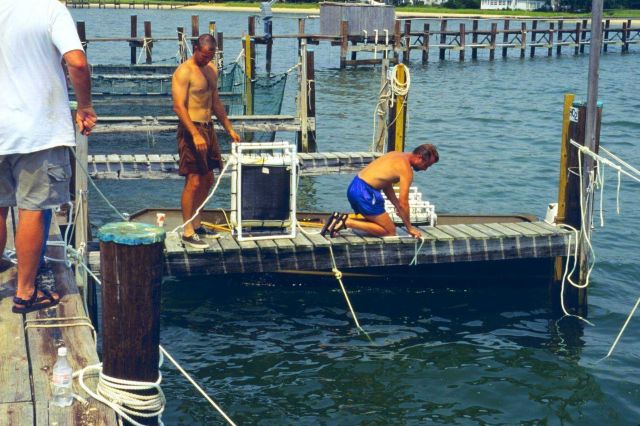 This project was conducted to determine if geotube material could be used to as suitable substrate for oyster spat. Picture