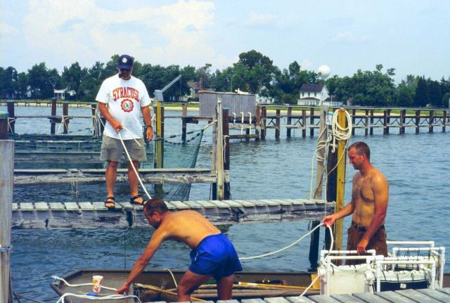 This project was conducted to determine if geotube material could be used to as suitable substrate for oyster spat. Picture