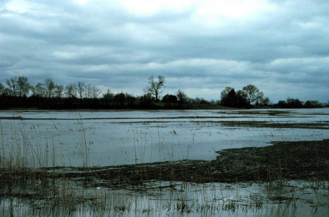 Near Alloway Creek, Salem County, NJ close to the Delaware River looking at potential land acquisitions to prevent development. Picture