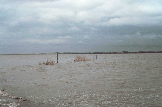 The Delaware side of the river, the Delaware Bridge is in the background. Picture