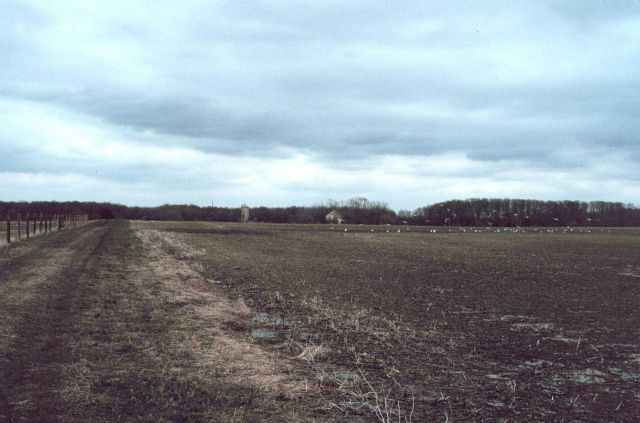 Land being considered for protection, Salem County, NJ Picture