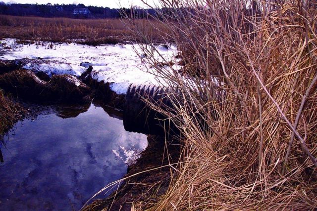 A culvert, at Quivett Creek, that needs to be enlarged to enhance water flow. Picture