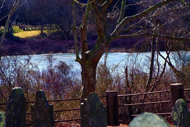 The watershed at Quivett Creek also features a beautiful old cemetery and a pond that is used by anadromous alewives for spawning and juvenile rearing Picture