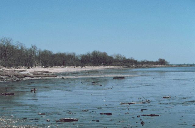 The mud and sand flats of the Delaware River at the entrance to the tide gates Picture