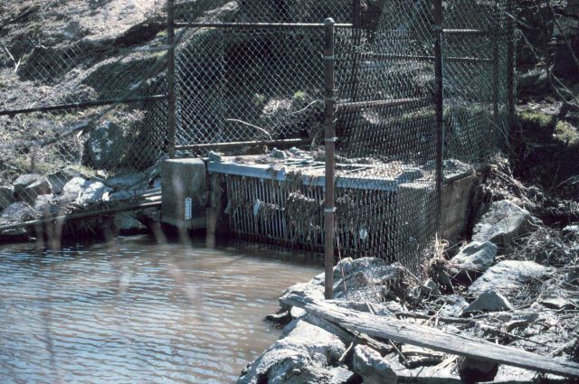The Gambacorta side of the tide gate, Gambacorta Creek is a tidal brackish creek. Picture