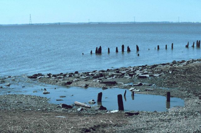 The Delaware River at the outlet of Gambacorta Creek Picture