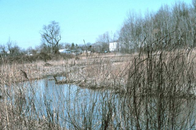 Taken from the landfill looking upstream at Gambacorta. Picture
