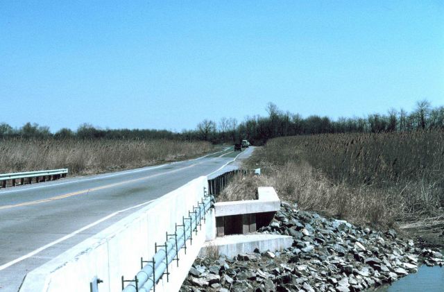 The Route 9 Bridge that crosses Army Creek just upstream from the tide gate Picture