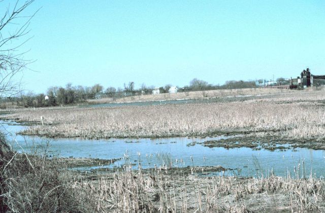 Gambacorta Creek, the Gambacorta landfill cap is about mid-photo where the land slopes in the background between the white house and the large structu Picture