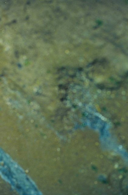 Oily mud at the site Picture